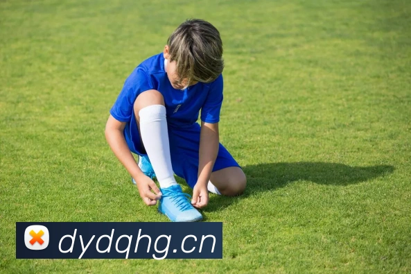 九州体育娱乐官网平台生态图