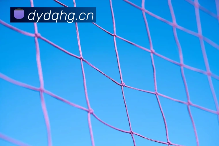 九州体育娱乐官网APP 封面图